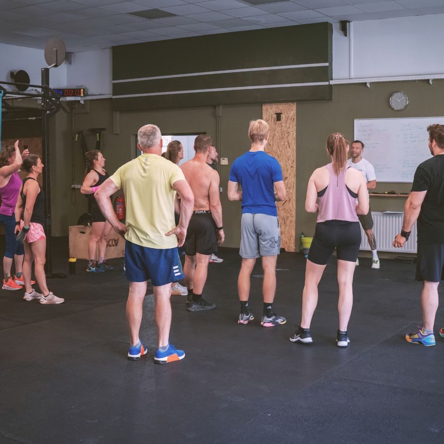 Workshops mit externen Profis